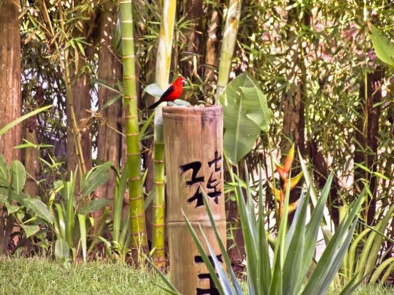 Pousada Bambu Itacaré Exterior foto